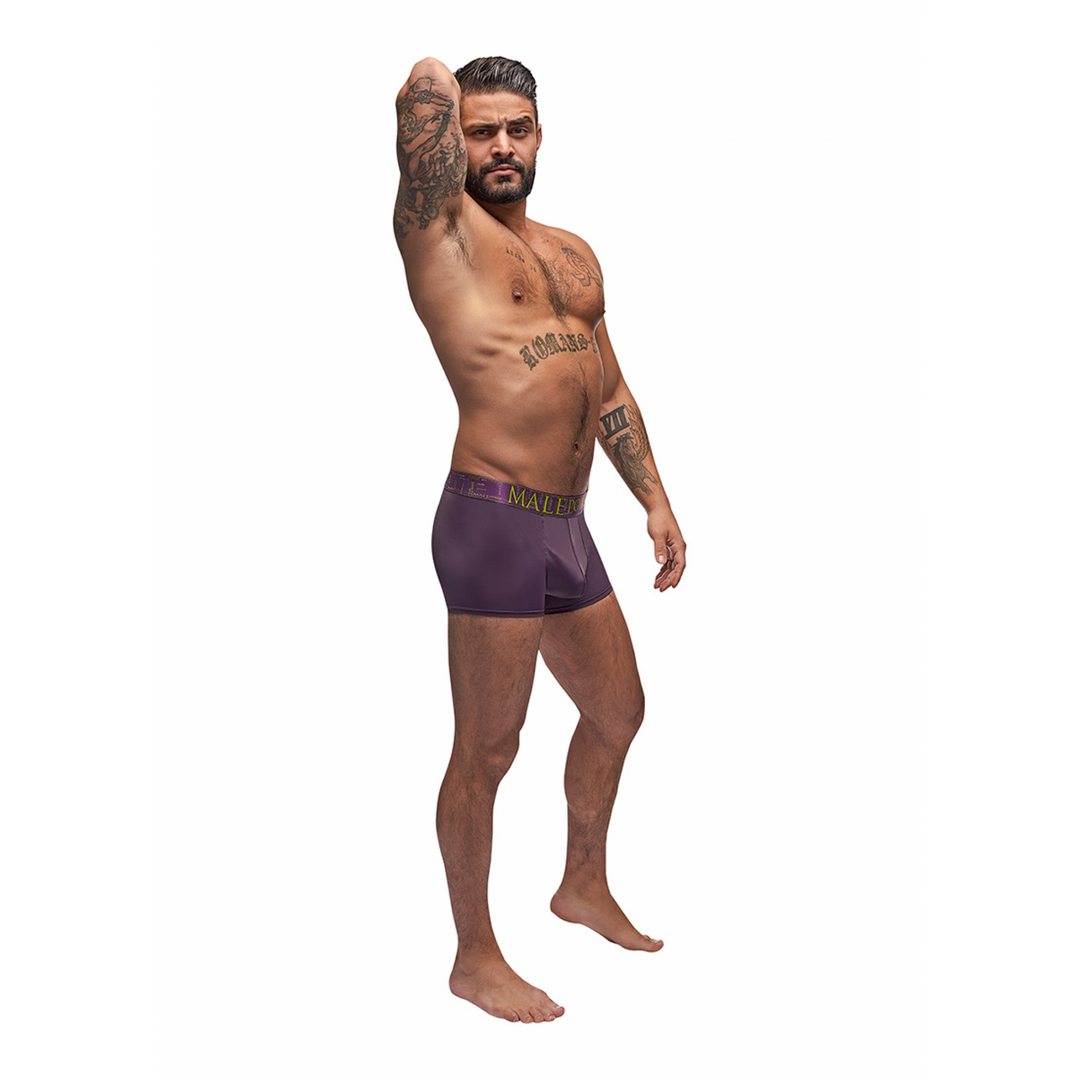 Enhancer Short - L - Aubergine