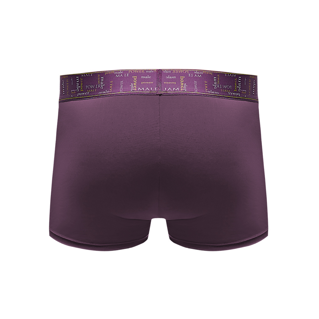 Enhancer Short - L - Aubergine