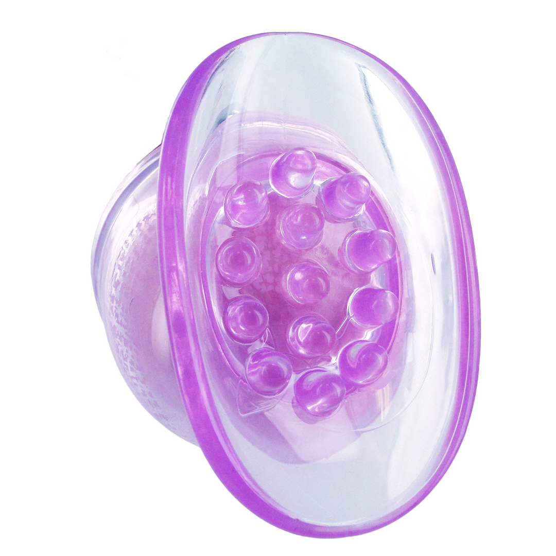 Lily Pod - Wand Aufsatz - Lila