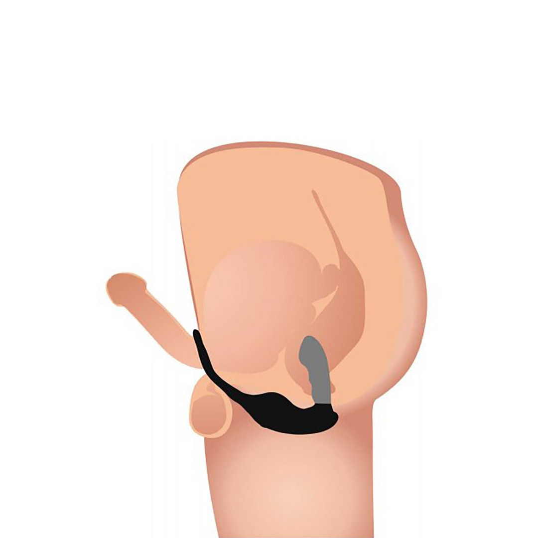Milking und Vibrating Prostate Massager + Harness mit 7 Speeds