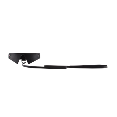 Exklusives Halsband Leine