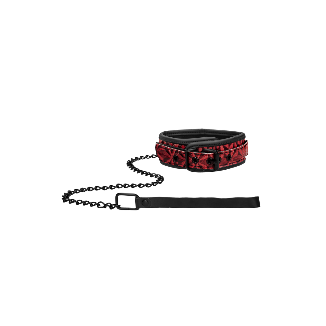 Halsband mit Leine