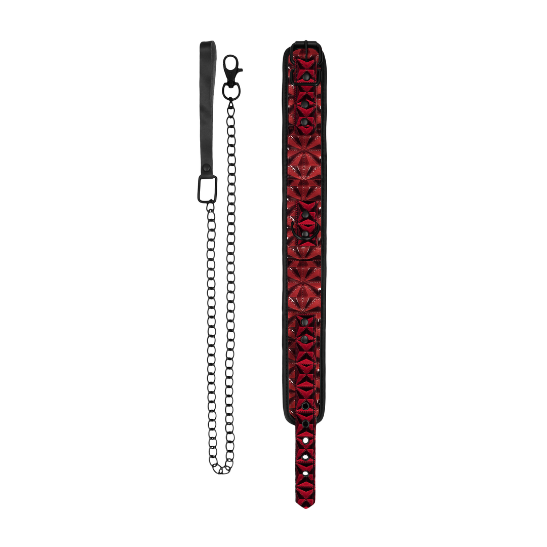 Halsband mit Leine