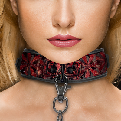 Halsband mit Leine