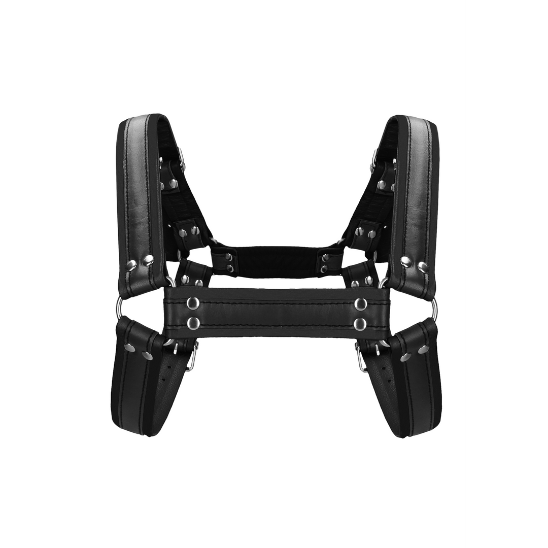 Leder Bulldoggeschirr mit Schnallen - S/M