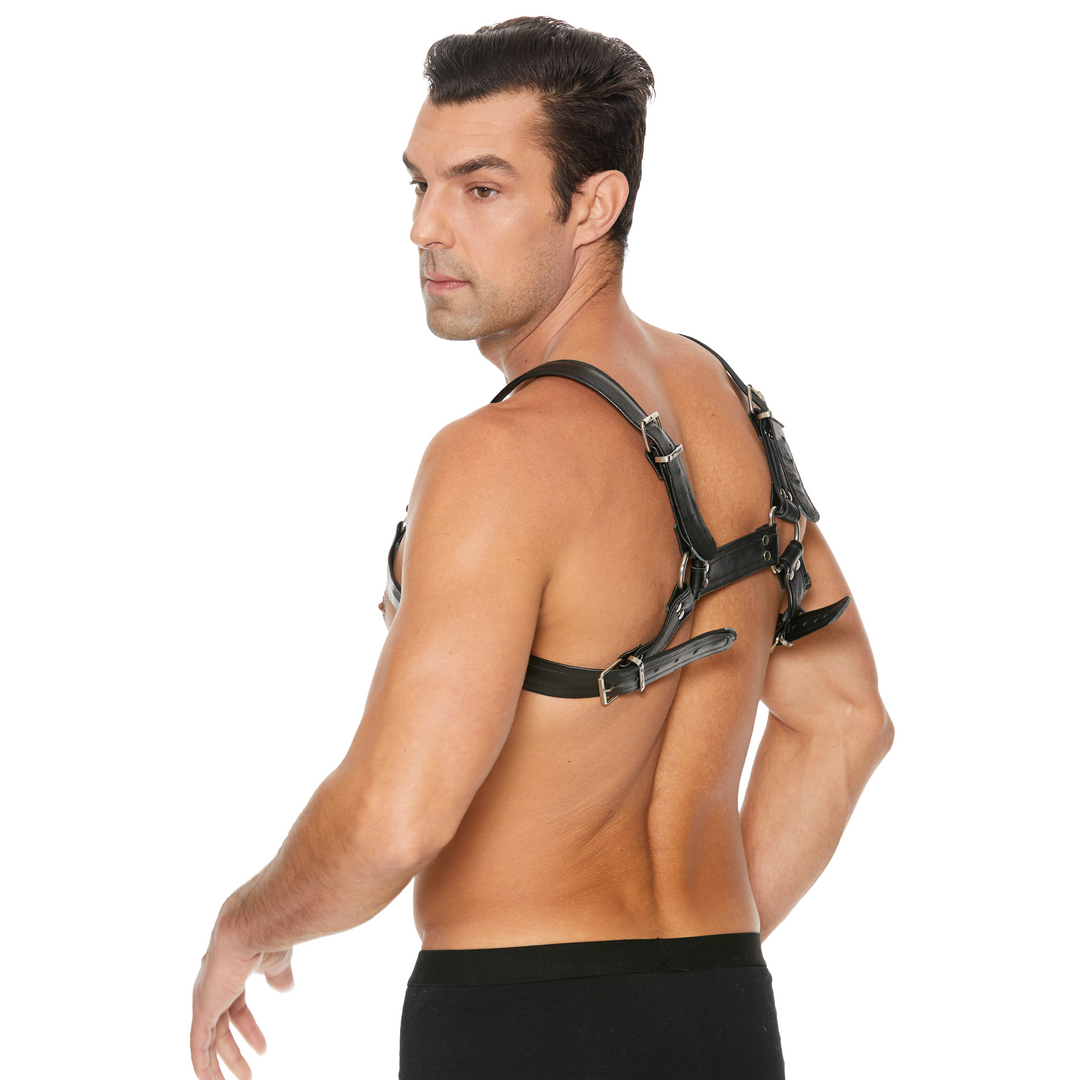 Leder Bulldoggeschirr mit Schnallen - S/M