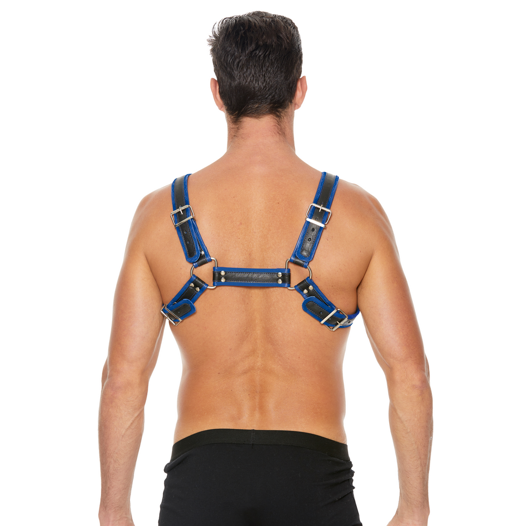 Leder Bulldog Geschirr mit Schnallen - L/XL