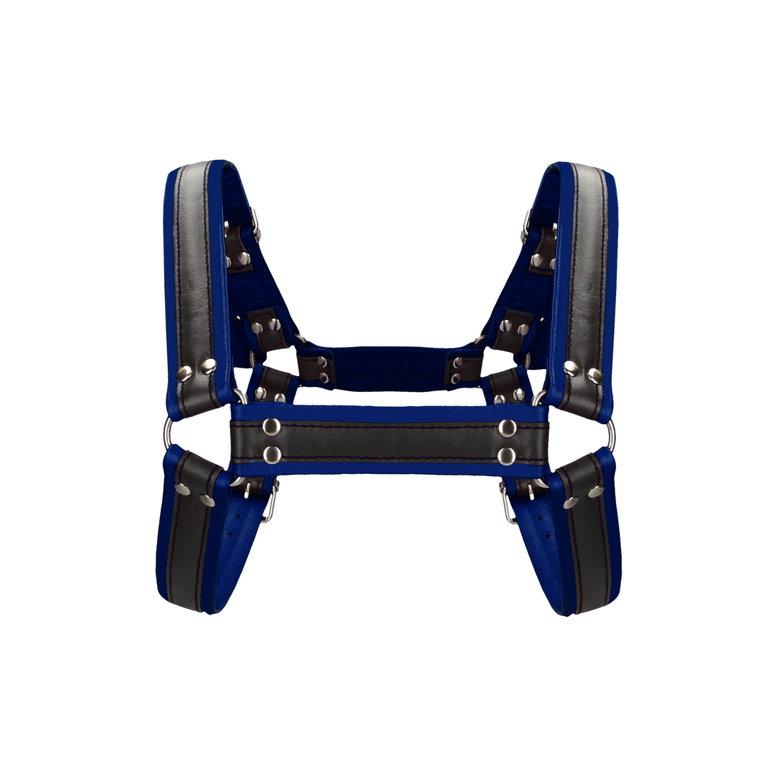 Leder Bulldog Geschirr mit Schnallen - S/M