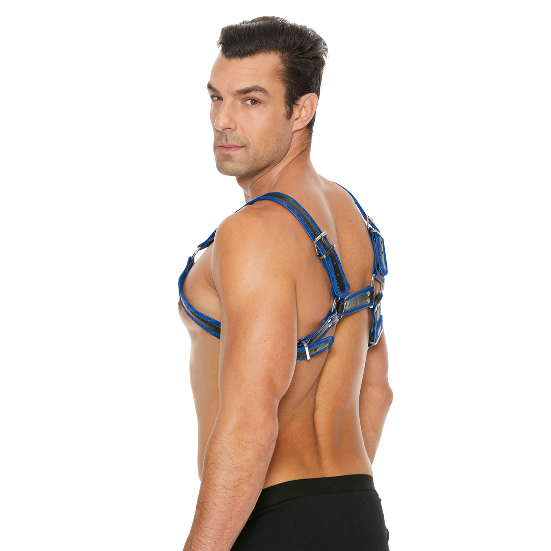 Leder Bulldog Geschirr mit Schnallen - S/M