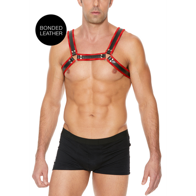 Leder Bulldog Geschirr mit Schnallen - S/M