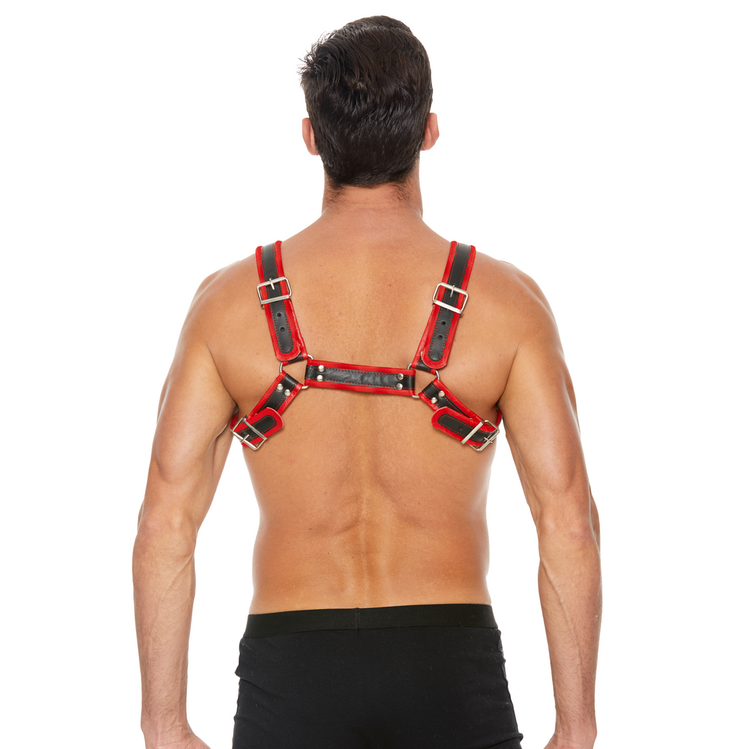 Leder Bulldog Geschirr mit Schnallen - S/M