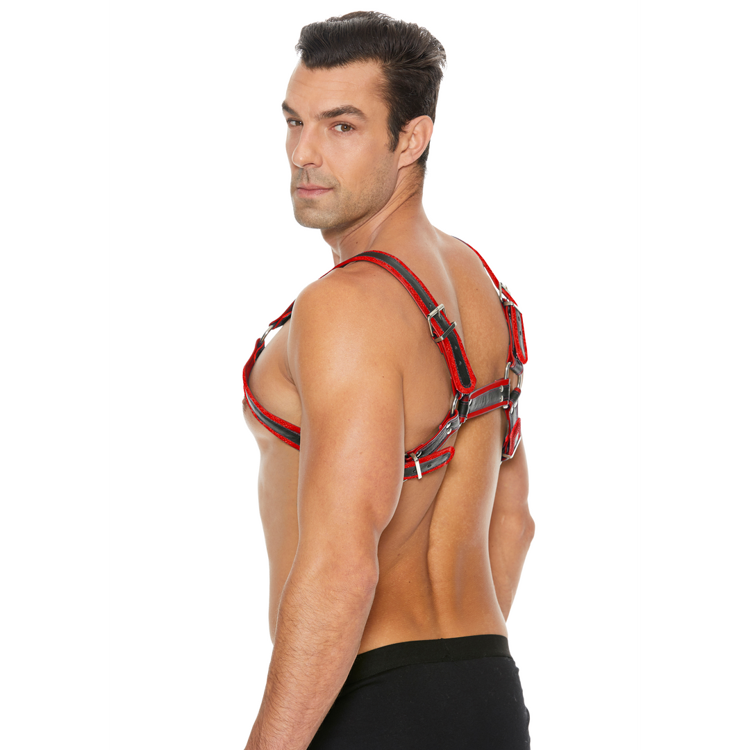 Leder Bulldog Geschirr mit Schnallen - S/M