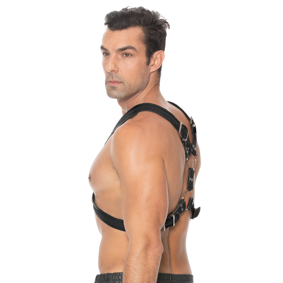 Schottisches Leder-Geschirr - S/M