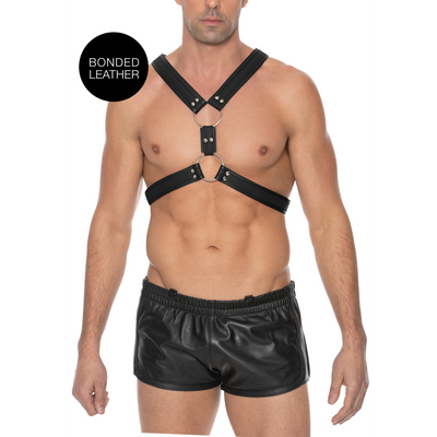 Schottisches Leder-Geschirr - S/M