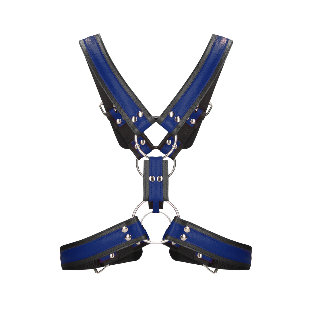 Schottisches Leder-Geschirr - L/XL