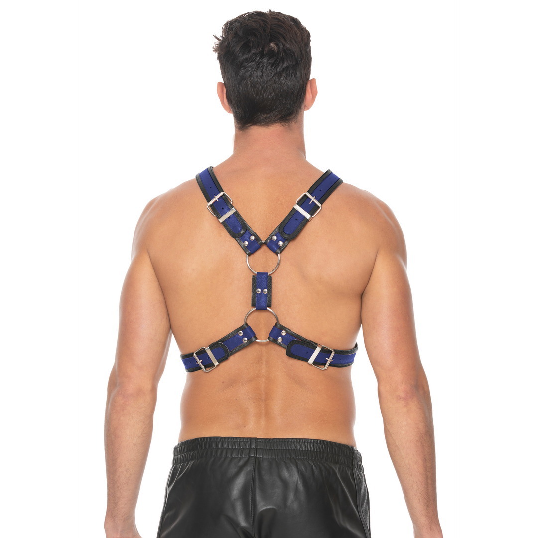 Schottisches Leder-Geschirr - L/XL
