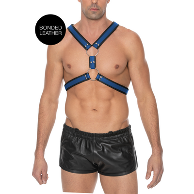 Schottisches Leder-Geschirr - L/XL