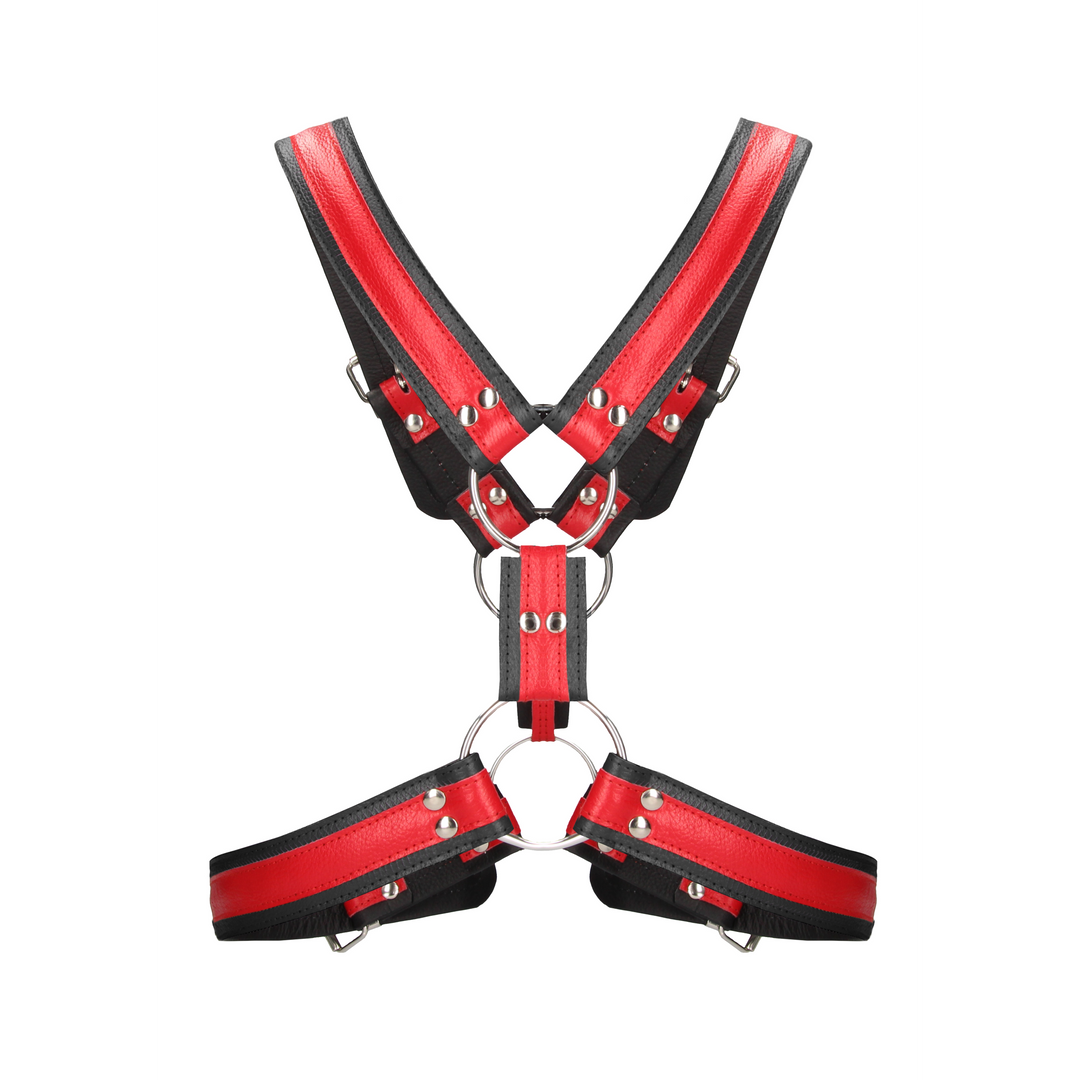 Schottisches Leder Geschirr - L/XL