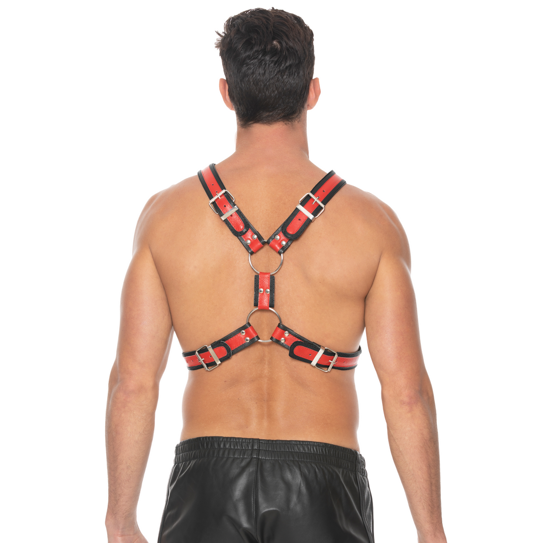 Schottisches Leder Geschirr - L/XL