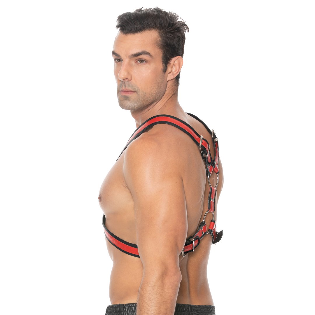 Schottisches Leder Geschirr - L/XL