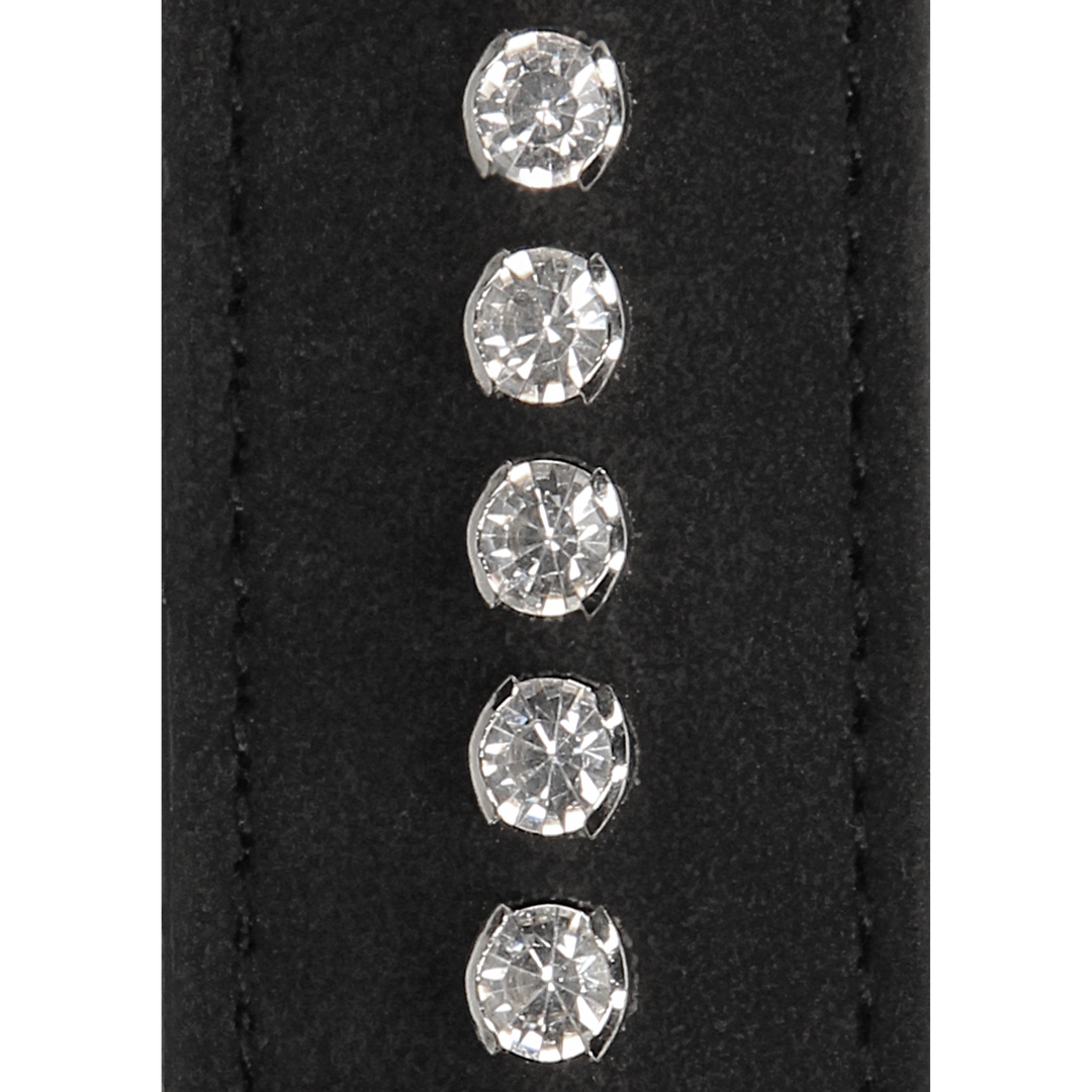 Diamantbesetzte Peitsche