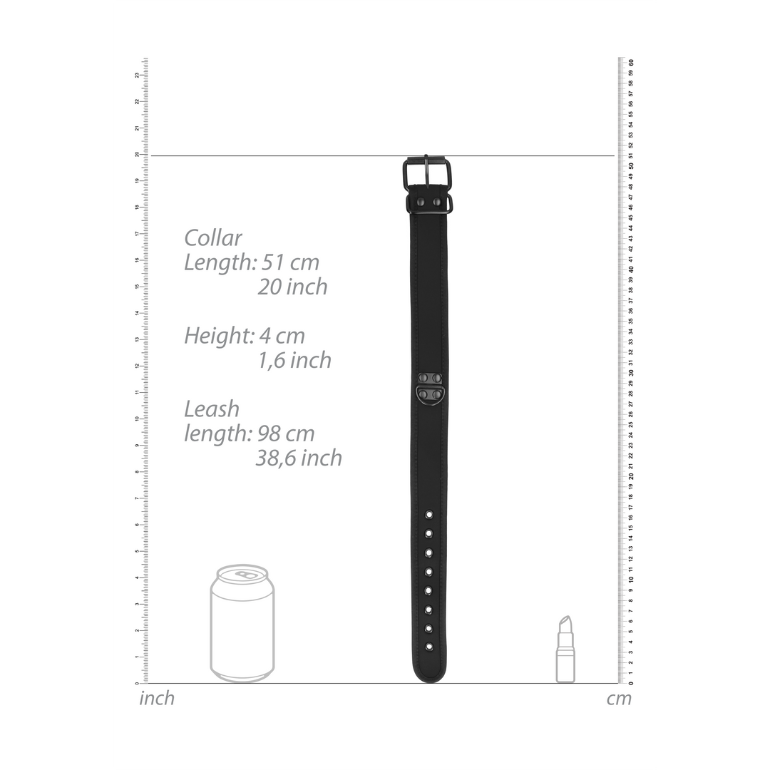 Neopren Kragen mit Leine