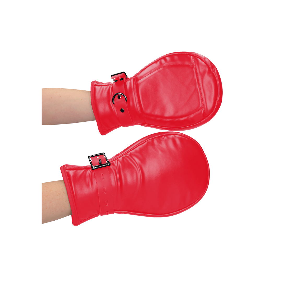 Neopren Hundehandschuhe