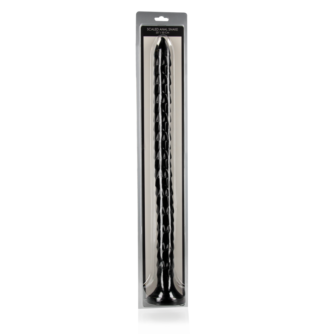 Skalierte Anal Schlange - 20''/ 50 cm