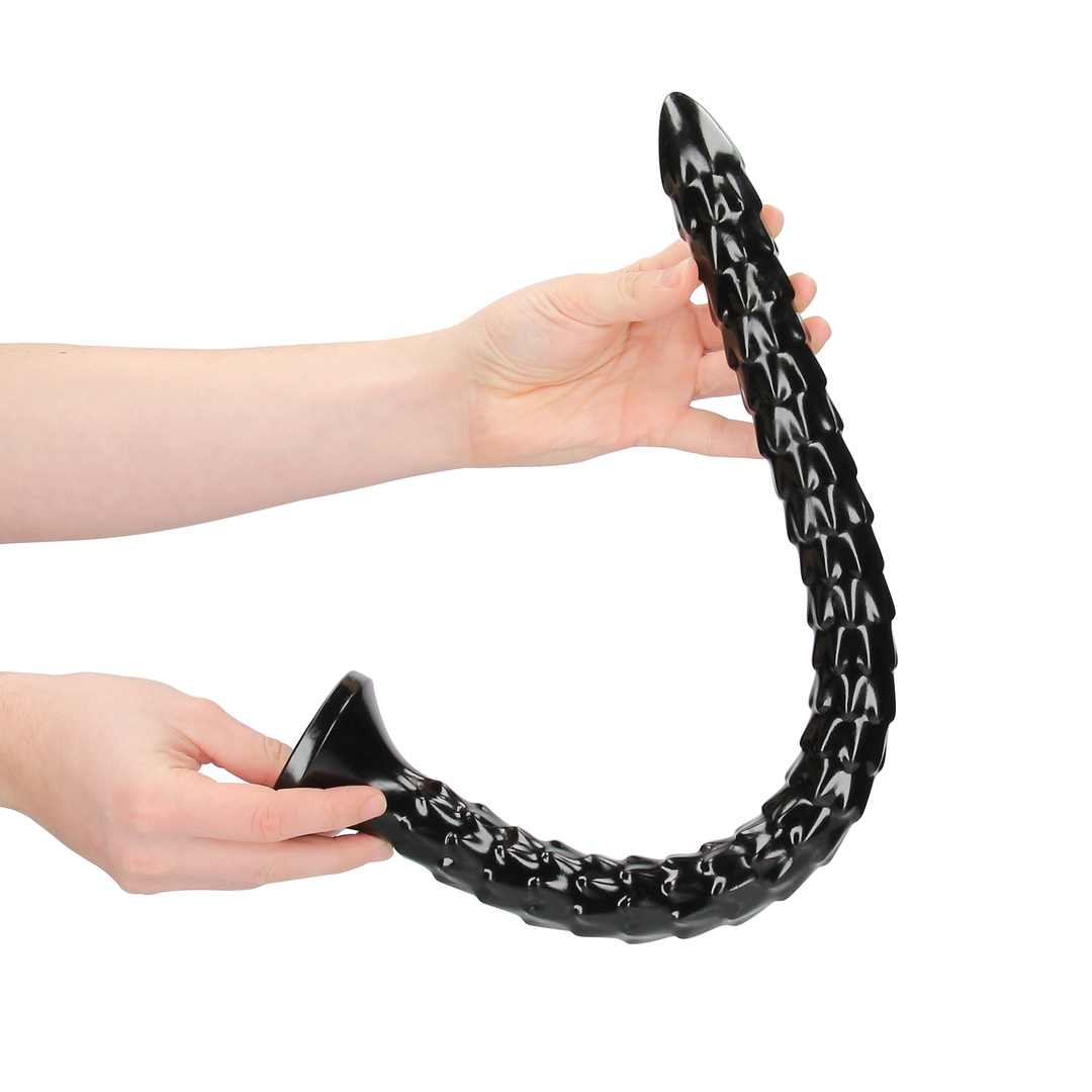 Skalierte Anal Schlange - 20''/ 50 cm