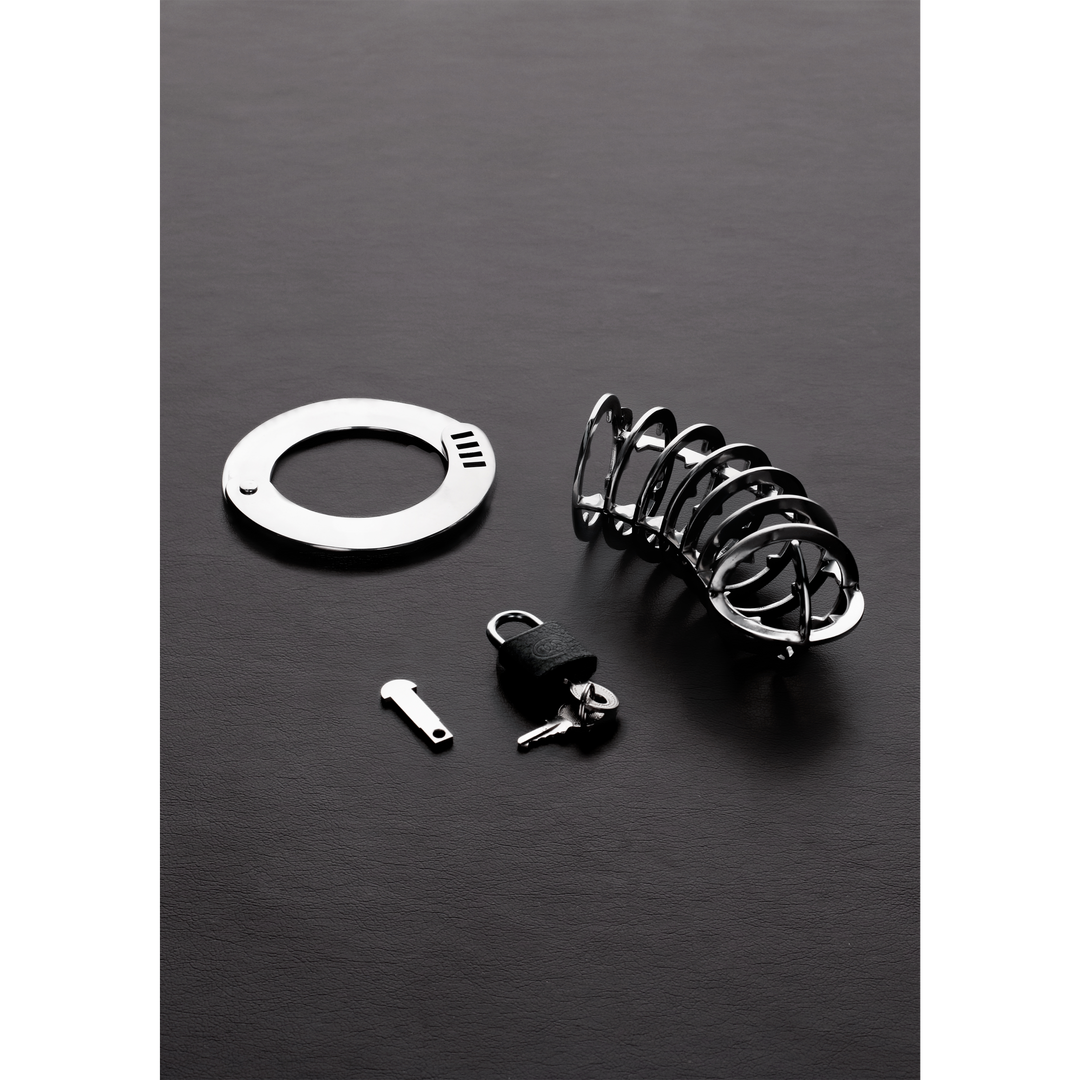 Der Spiked Chastity Cage