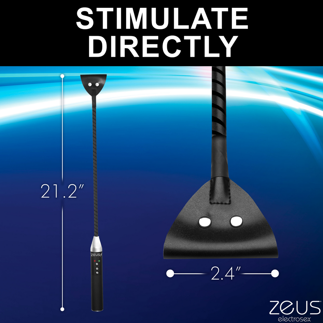 E-Stim Peitsche - Schwarz