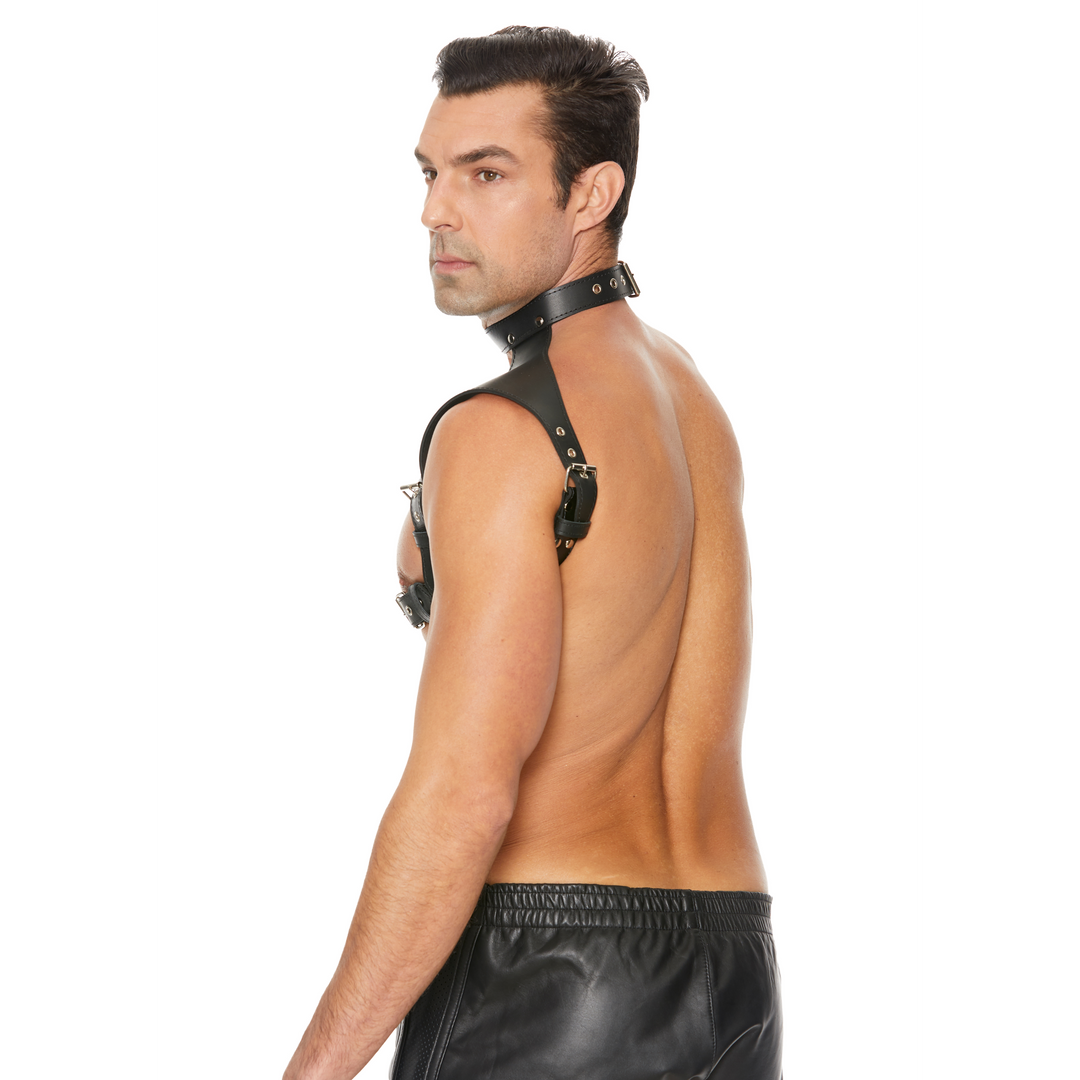 Men's Harness with Collar - One Size