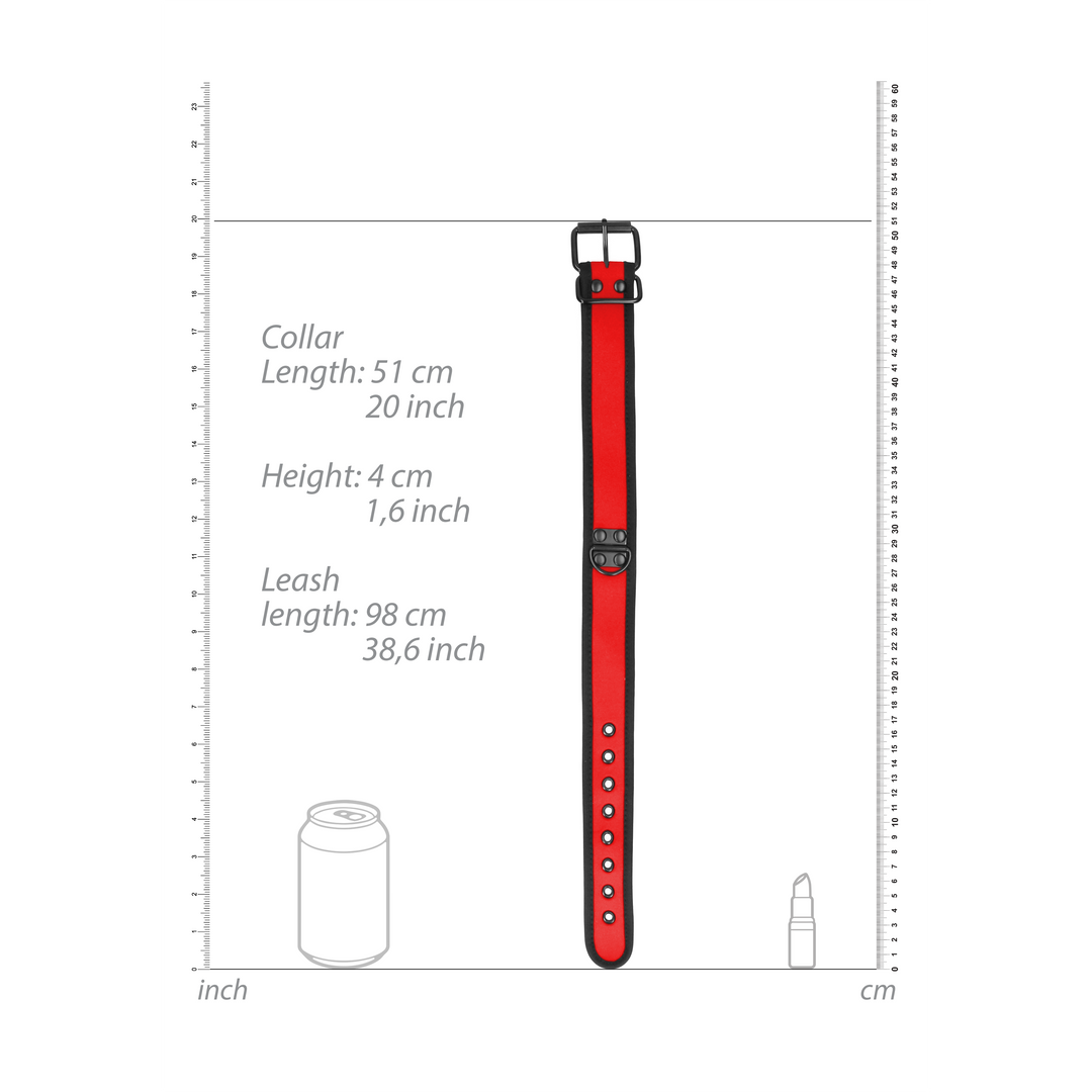 Neoprene Collar with Leash