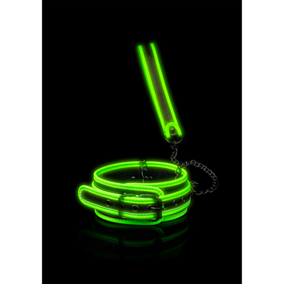 Collar and Leash - Glow in the Dark