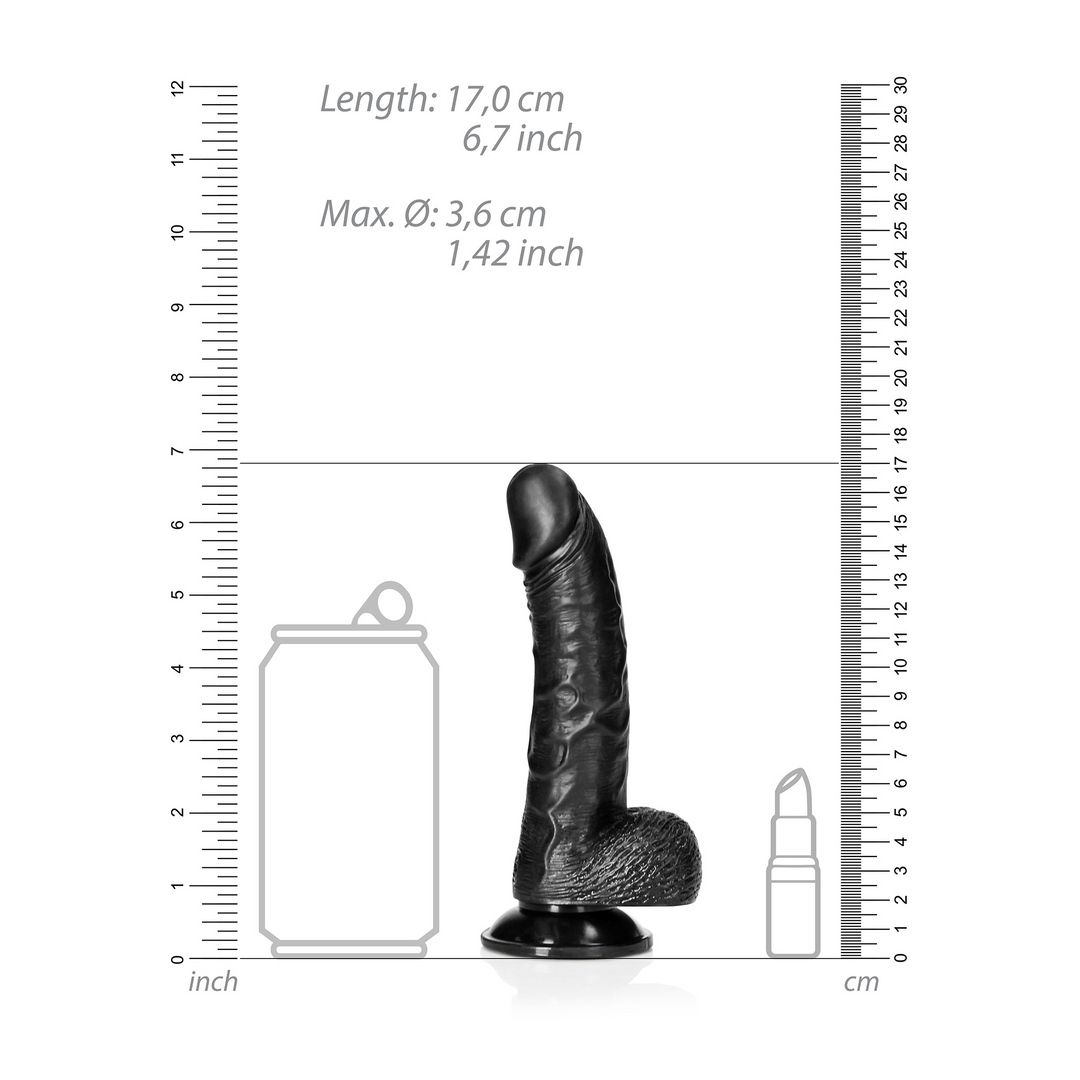 Curved Realistic Dildo with Balls and Suction Cup - 6 / 15,5 cm