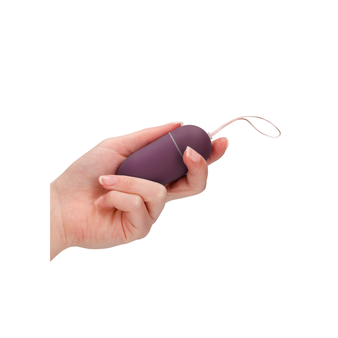 Vibrating Egg with 10 Speeds and Remote Control - L - Purple