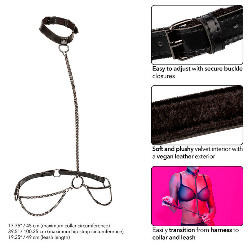 CALEXOTICS - EUPHORIA KETTENHALFTERHALSBAND UND LEINE